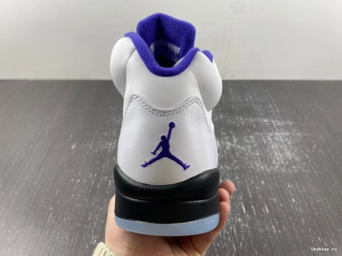 DD0587-141 Retro Jordan  Dark Concord 5 0512